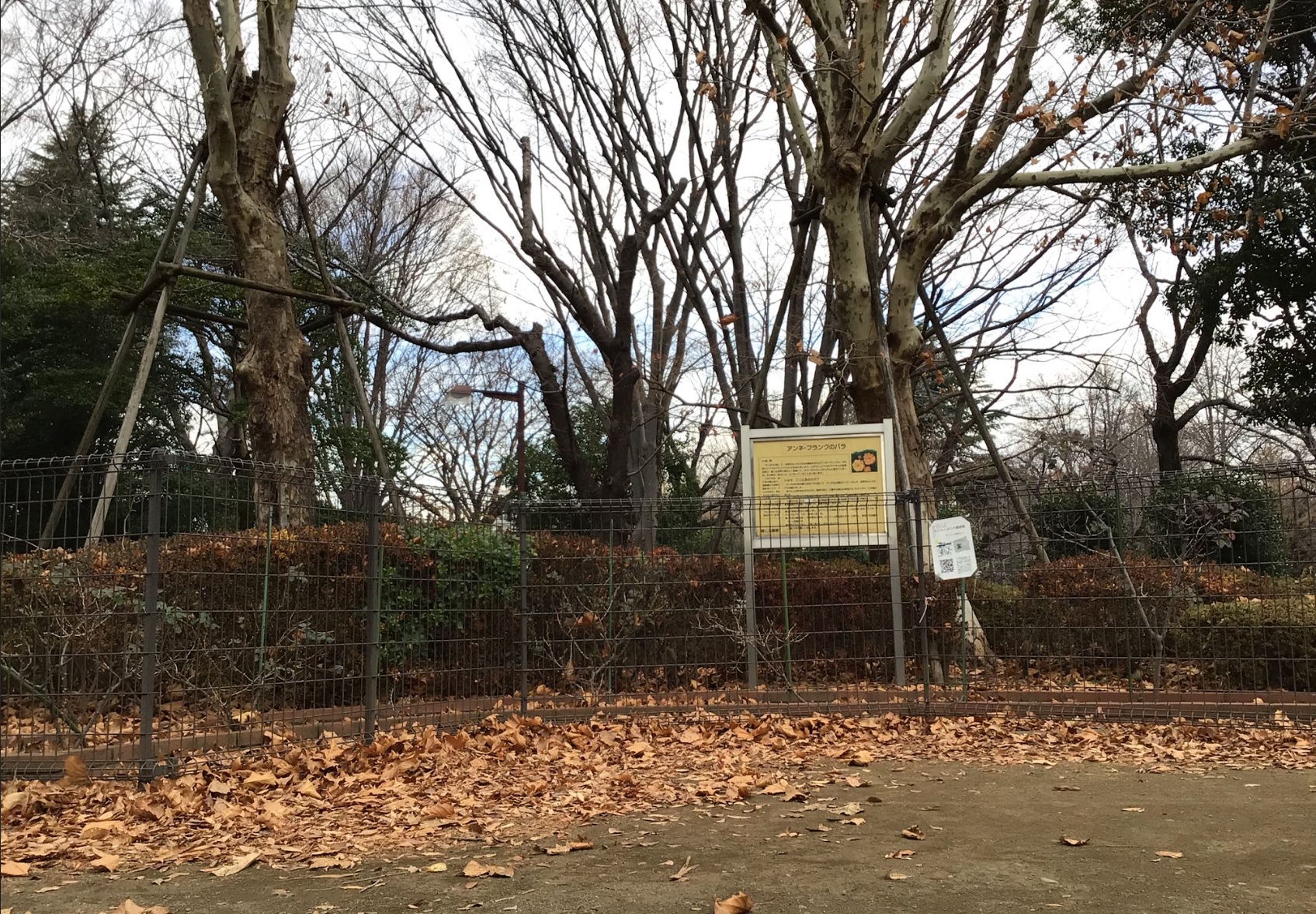 核分裂の仕組み